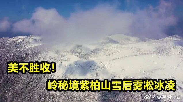 赌上厨师生涯炒饭外卖店根本没有厨师